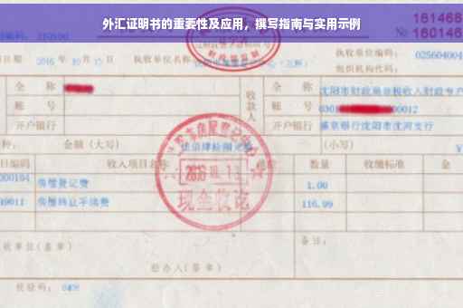 外汇证明书的重要性及应用，撰写指南与实用示例