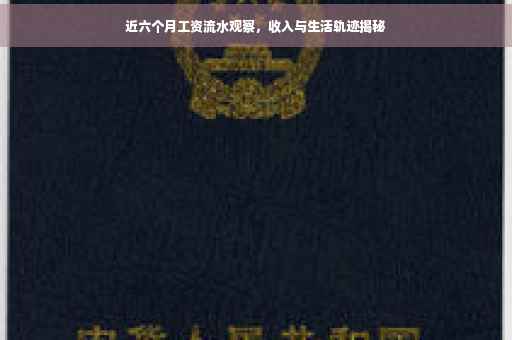 近六个月工资流水观察，收入与生活轨迹揭秘
