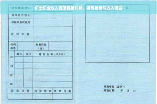 护士职业收入证明模板详解，撰写指南与收入概览