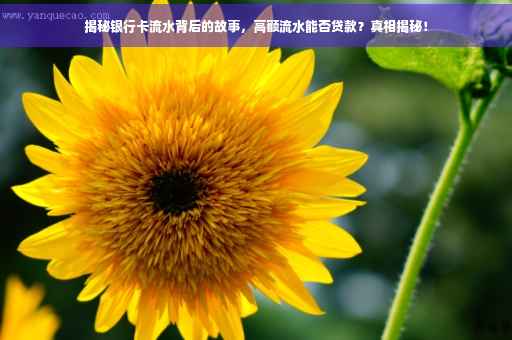 揭秘银行卡流水背后的故事，高额流水能否贷款？真相揭秘！
