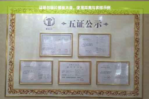 证明书图片模板大全，使用指南与多样示例