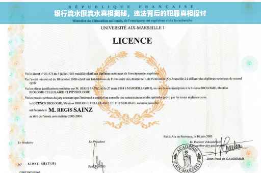 银行流水假流水真相揭秘，违法背后的犯罪真相探讨