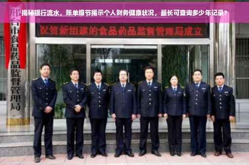 揭秘银行流水，账单细节揭示个人财务健康状况，最长可查询多少年记录？