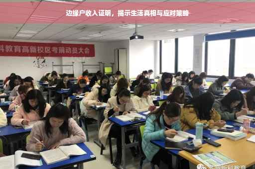 边缘户收入证明，揭示生活真相与应对策略