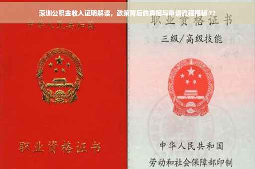 深圳公积金收入证明解读，政策背后的真相与申请流程揭秘 ??