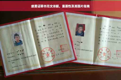 缴费证明书范文详解，重要性及其图片指南