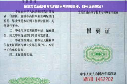 扶贫对象证明书背后的故事与真相揭秘，如何正确撰写？