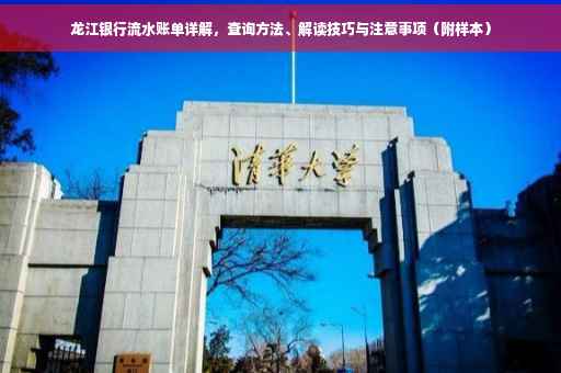龙江银行流水账单详解，查询方法、解读技巧与注意事项（附样本）