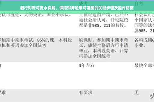 银行对账与流水详解，保障财务透明与准确的关键步骤及操作指南