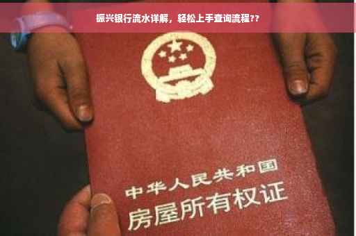 振兴银行流水详解，轻松上手查询流程??