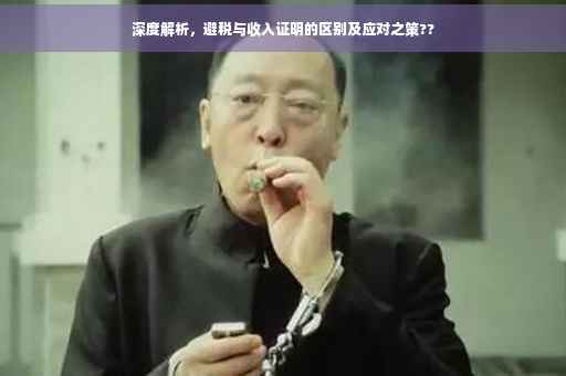 深度解析，避税与收入证明的区别及应对之策??