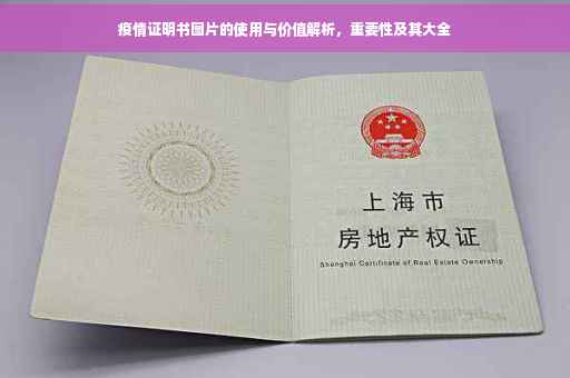 疫情证明书图片的使用与价值解析，重要性及其大全