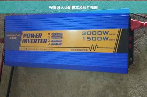 投资收入证明样本及图片指南