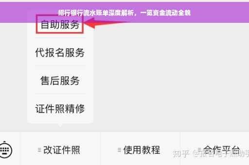 招行银行流水账单深度解析，一览资金流动全貌