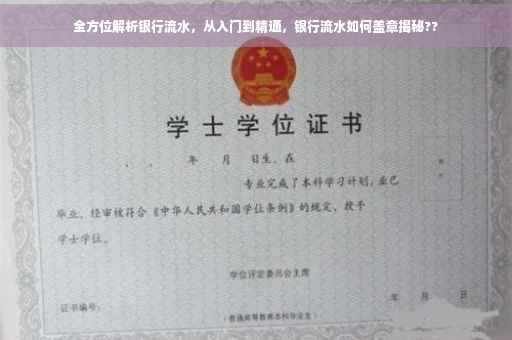 全方位解析银行流水，从入门到精通，银行流水如何盖章揭秘??