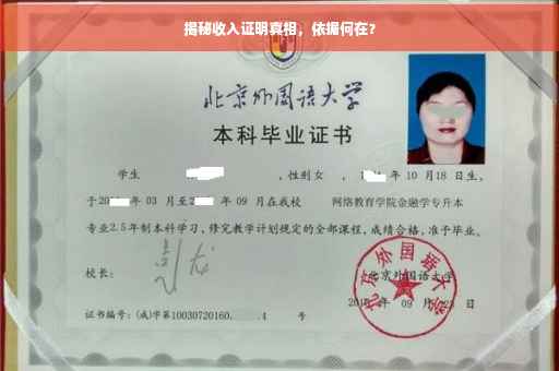 揭秘收入证明真相，依据何在？