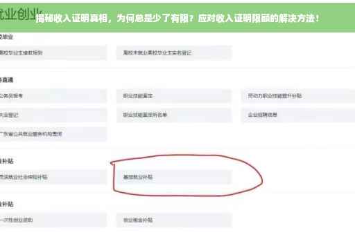 揭秘收入证明真相，为何总是少了有限？应对收入证明限额的解决方法！