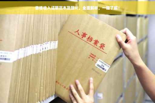 售楼收入证明范本及图片，全面解析，一键了解！