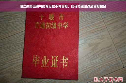 湛江未婚证明书的背后故事与真相，探寻办理地点及真相揭秘
