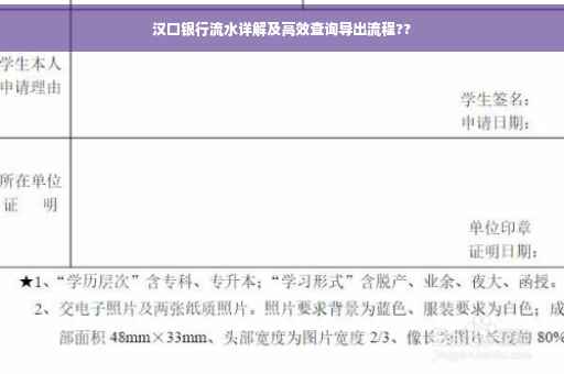汉口银行流水详解及高效查询导出流程??
