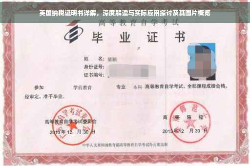 英国纳税证明书详解，深度解读与实际应用探讨及其图片概览