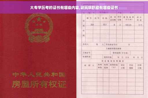 大专学历考的证书有哪些内容,副高级职称有哪些证书