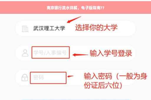 南京银行流水详解，电子版指南??