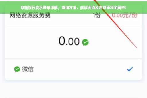 阜新银行流水账单详解，查询方法、解读要点及注意事项全解析！