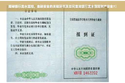 揭秘银行流水监控，金融安全的关键环节及如何查询银行流水保障财产安全?✨