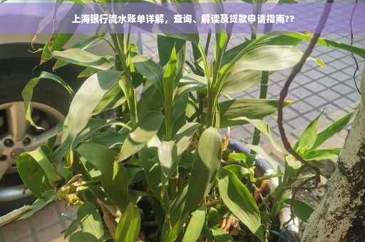 上海银行流水账单详解，查询、解读及贷款申请指南??