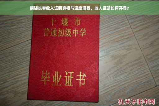 揭秘长春收入证明真相与深度洞察，收入证明如何开具？