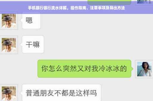 手机银行银行流水详解，操作指南、注意事项及导出方法