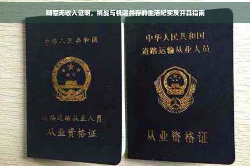 随军无收入证明，挑战与机遇并存的生活纪实及开具指南