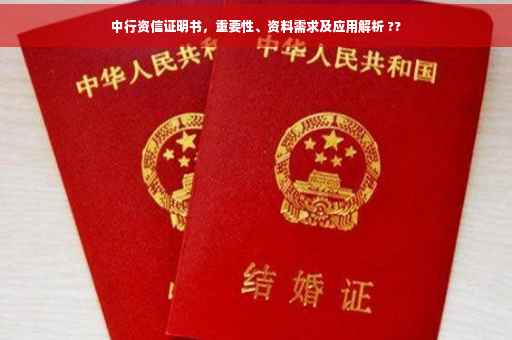 中行资信证明书，重要性、资料需求及应用解析 ??