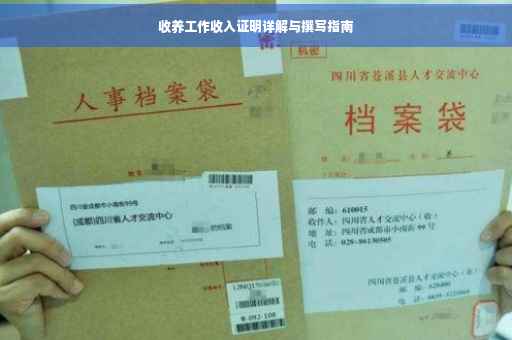 收养工作收入证明详解与撰写指南