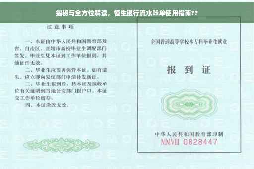 揭秘与全方位解读，恒生银行流水账单使用指南??