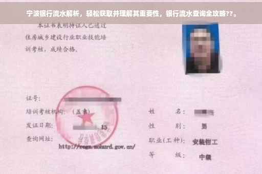 宁波银行流水解析，轻松获取并理解其重要性，银行流水查询全攻略??。