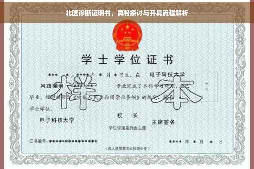 北医诊断证明书，真相探讨与开具流程解析