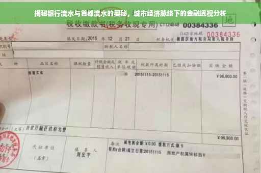 揭秘银行流水与首都流水的奥秘，城市经济脉络下的金融透视分析