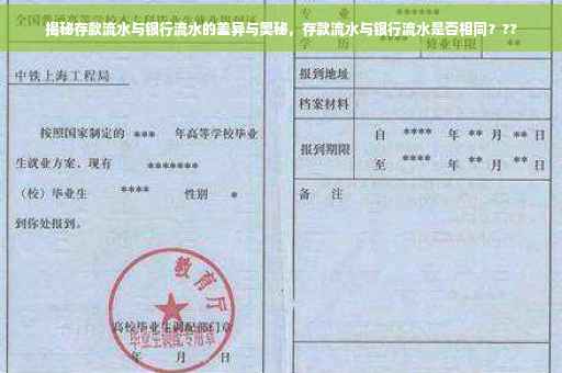 揭秘存款流水与银行流水的差异与奥秘，存款流水与银行流水是否相同？??