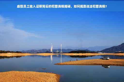 虚假员工收入证明背后的犯罪真相揭秘，如何揭露违法犯罪真相？