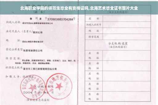 北海职业学院的师范生毕业有资格证吗,北海艺术毕业证书图片大全