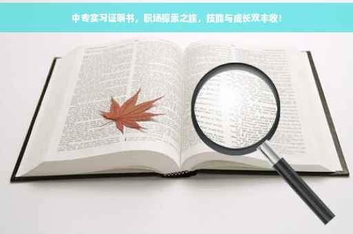 中专实习证明书，职场探索之旅，技能与成长双丰收！