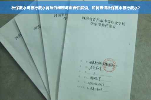 社保流水与银行流水背后的秘密与重要性解读，如何查询社保流水银行流水？