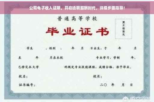 公司电子收入证明，开启透明薪酬时代，详细步骤指导！