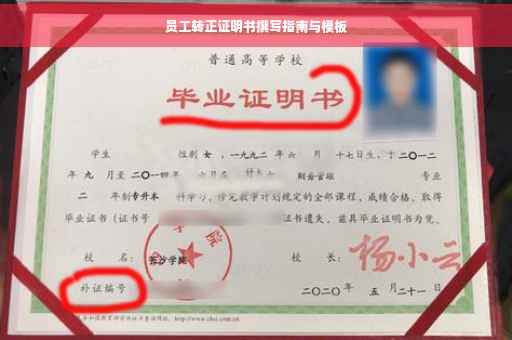 员工转正证明书撰写指南与模板
