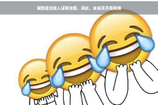 居民经济收入证明详解，现状、未来及开具指南