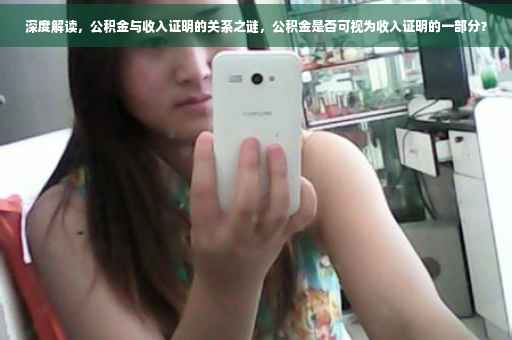 深度解读，公积金与收入证明的关系之谜，公积金是否可视为收入证明的一部分？