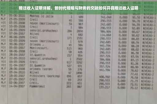 婚迁收入证明详解，新时代婚姻与财务的交融如何开具婚迁收入证明