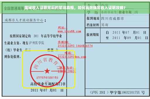 揭秘收入证明背后的繁琐真相，如何高效撰写收入证明攻略？